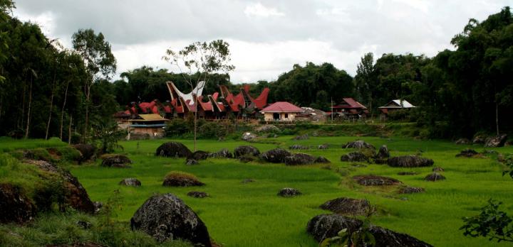 Voyage sur-mesure, Pays Toraja